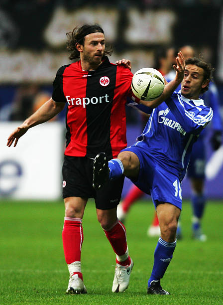 又成熟的年 又成熟的年